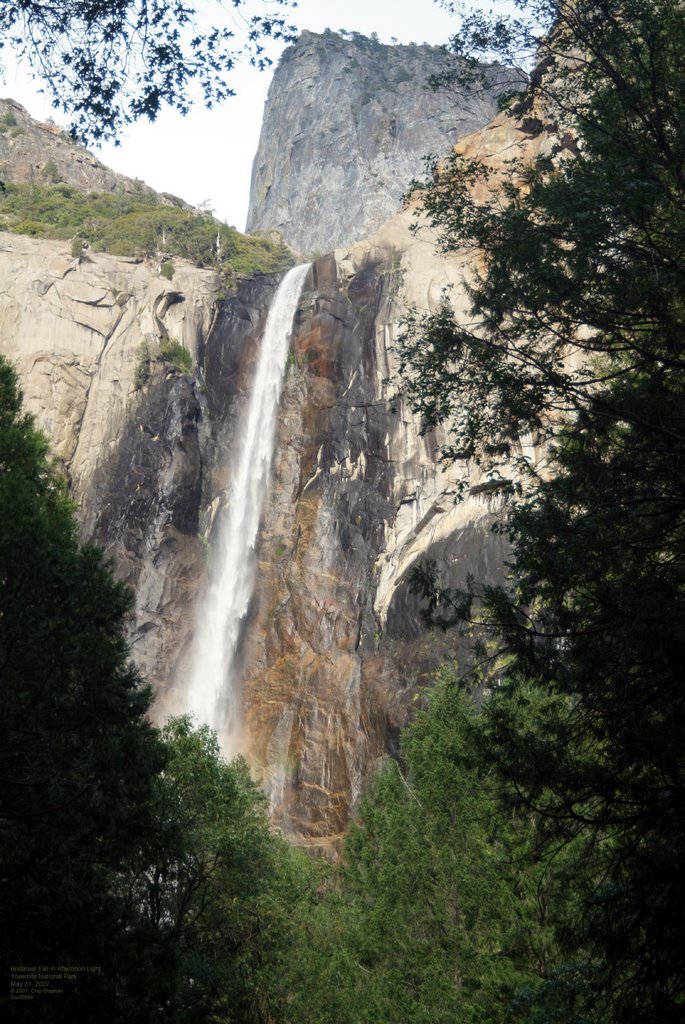 Bridalveil Fall in Afternoon Light by Chip Stephan