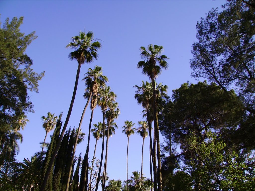 Parque de Castelar, Badajoz by emorcillo