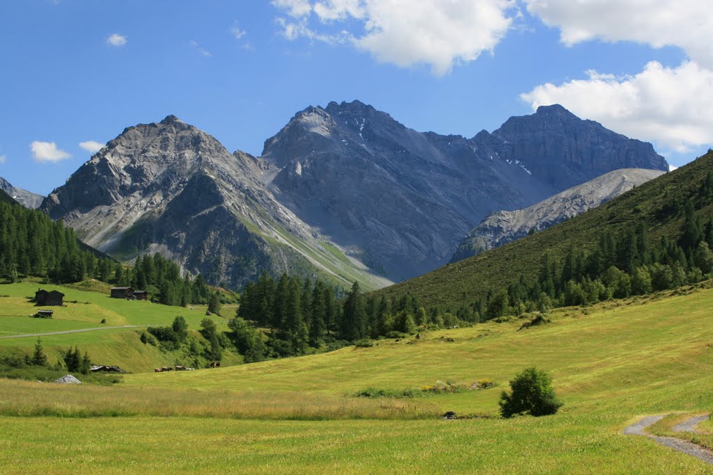 Sertig in summer by Manuel Hulliger