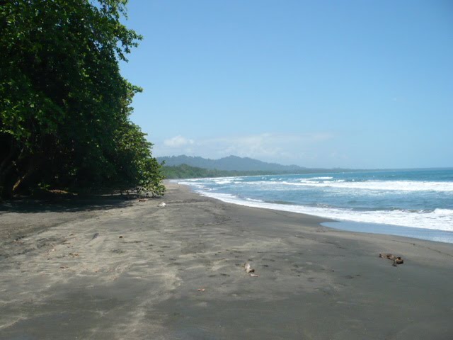 Playa Negra hacia el oeste by erojascabezas