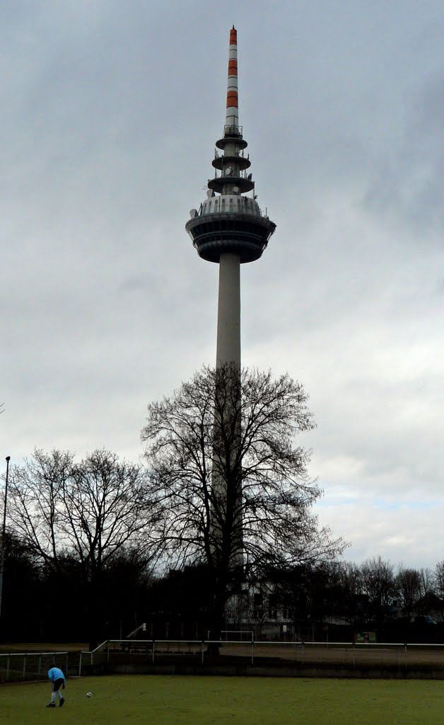 Fernmeldeturm Mannheim by Qwesy