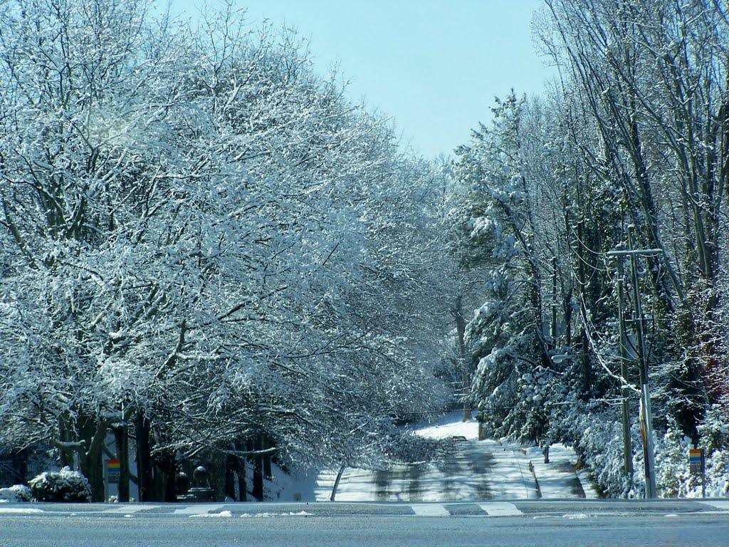 Snow at atlanta by fabrizio farsetti