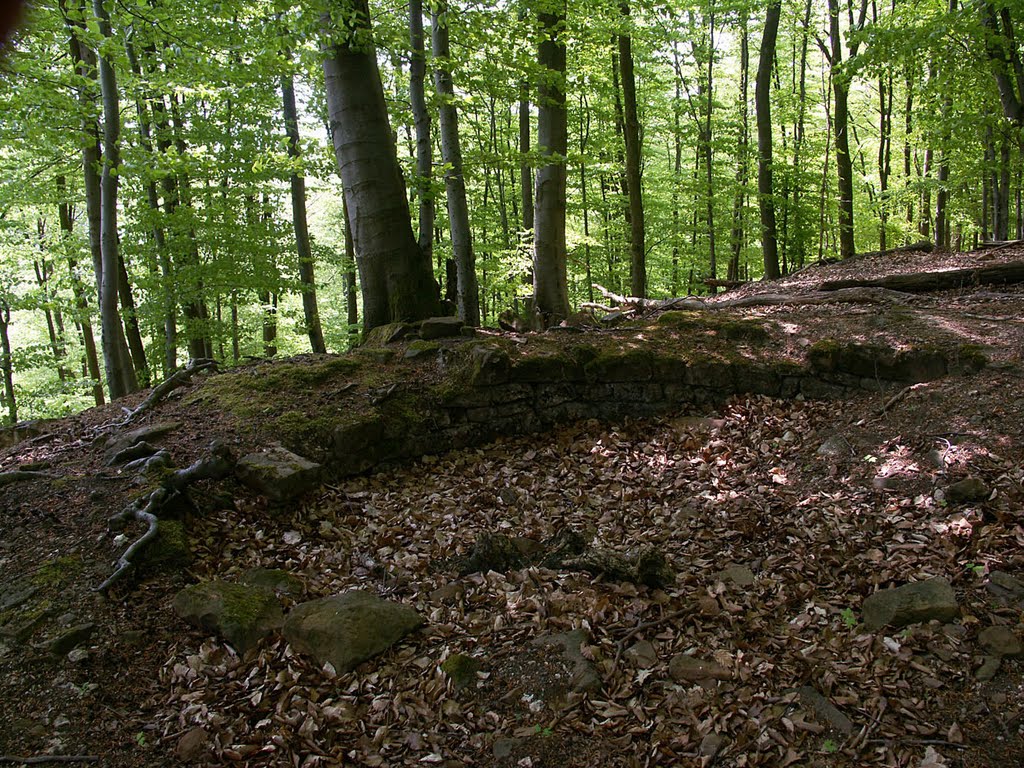 Château du Hohe Weyersberg (auf dem Grünberg), F by roland.fr