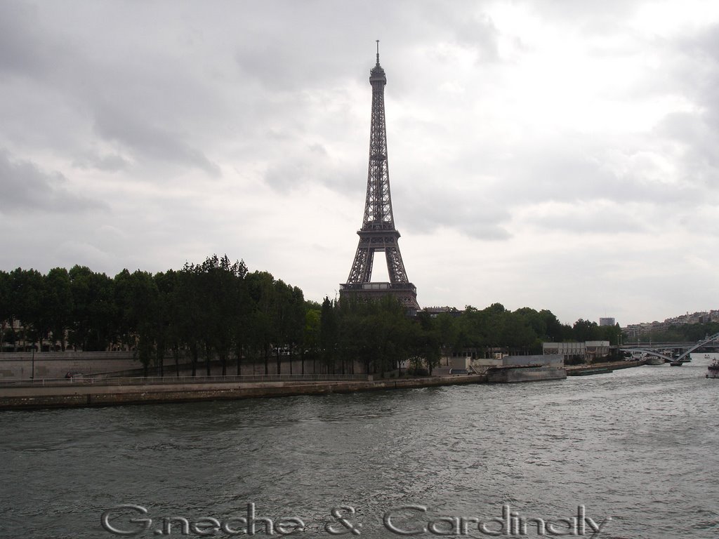 EIFFEL TOWER by CARDINALY