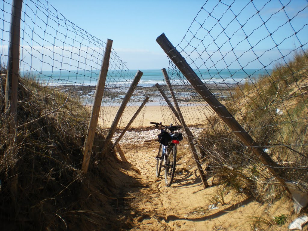 Passage vers plage, ile de ré by thierry llansades