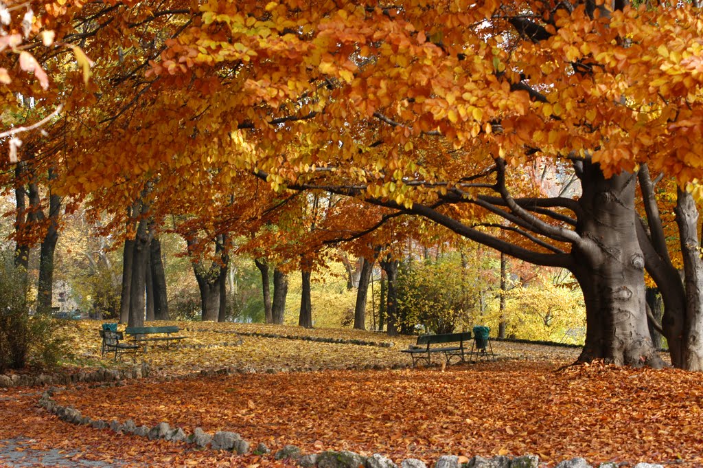 Torino_Parco Ruffini by amser