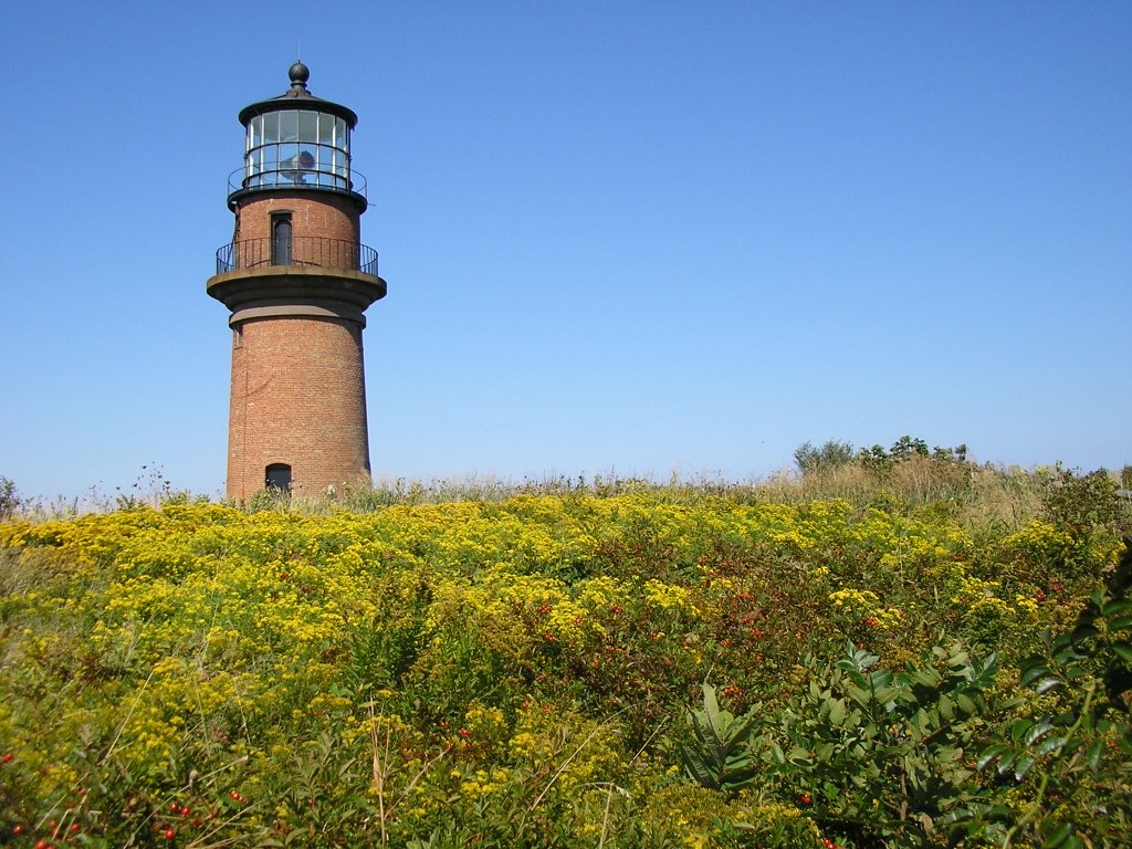 A lighthouse in Martha's Vineyard Island, MA by Moshe Shaharur