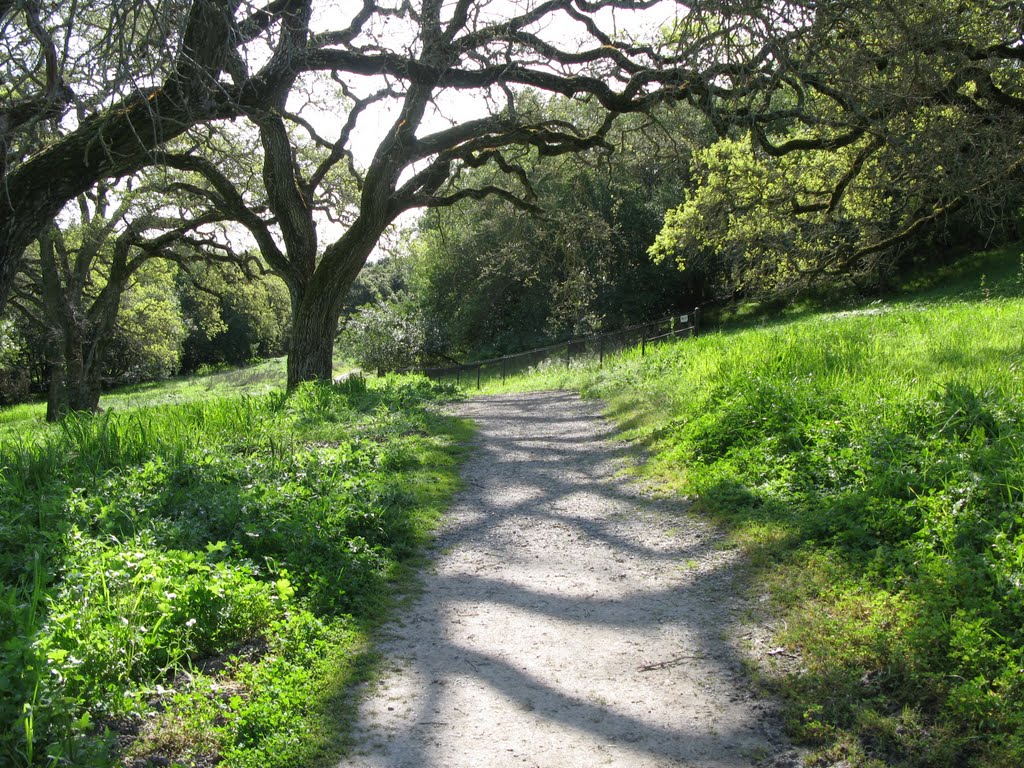 Martin Canyon Creek Trail by pauline8228