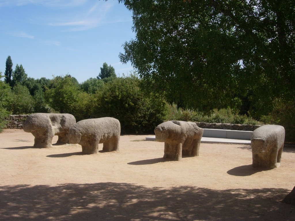 Toros de Guisando by Gabriel Campos