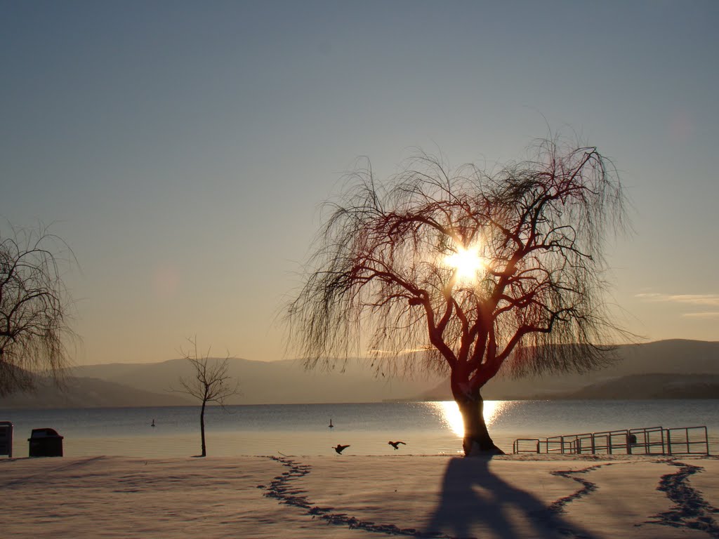 Rotary Beach by Paulo Kegles