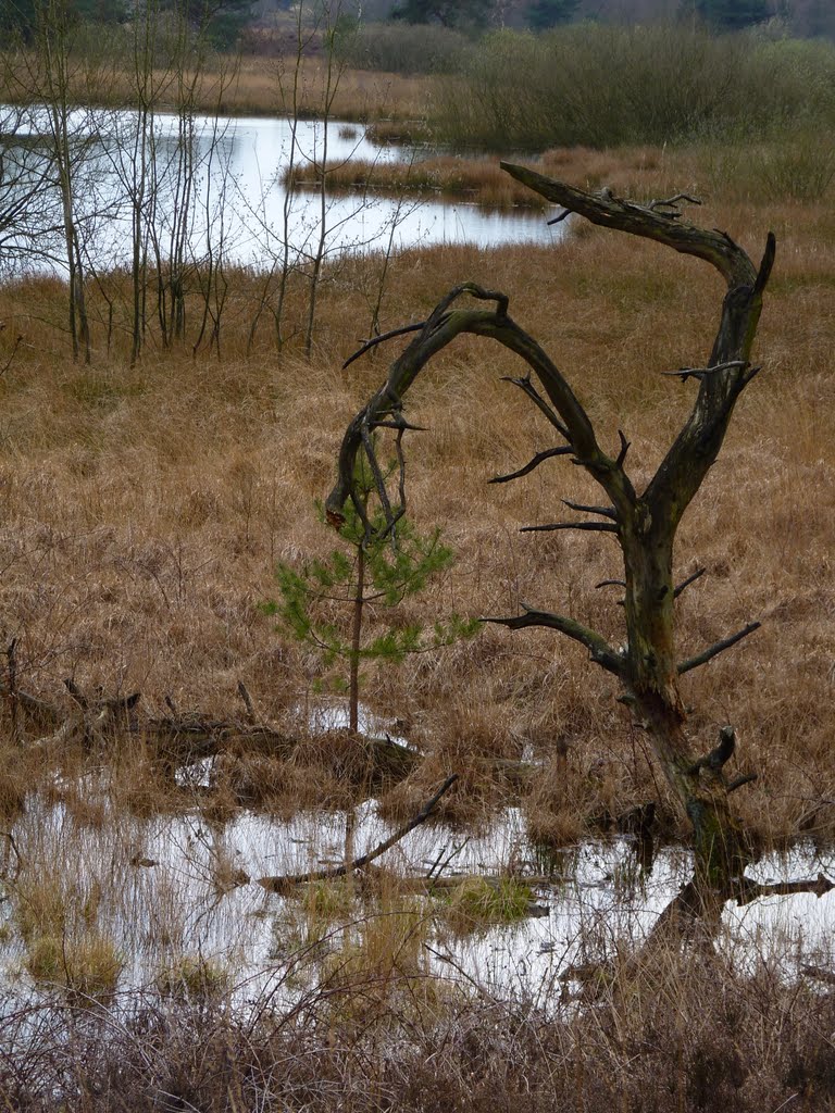 Oud en nieuw bij het Eendenmeer by pemw