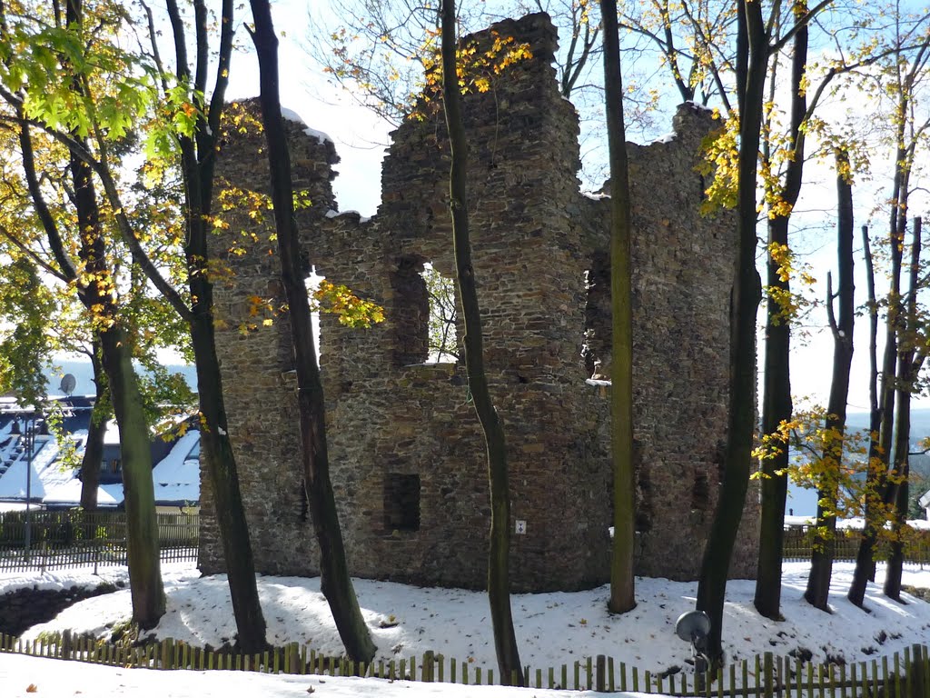 Jagdschloßruine by watzlawik