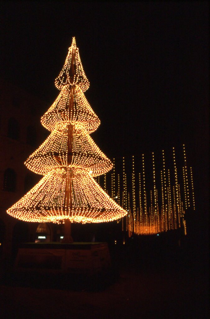 Albero di Natale scintillante, Perugia (gennaio 2005) by criela