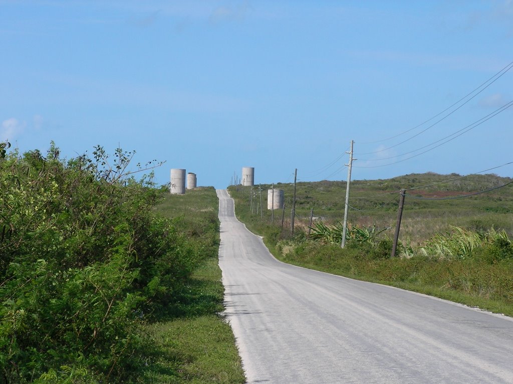 Cattle feed silos by nigeljbrennan