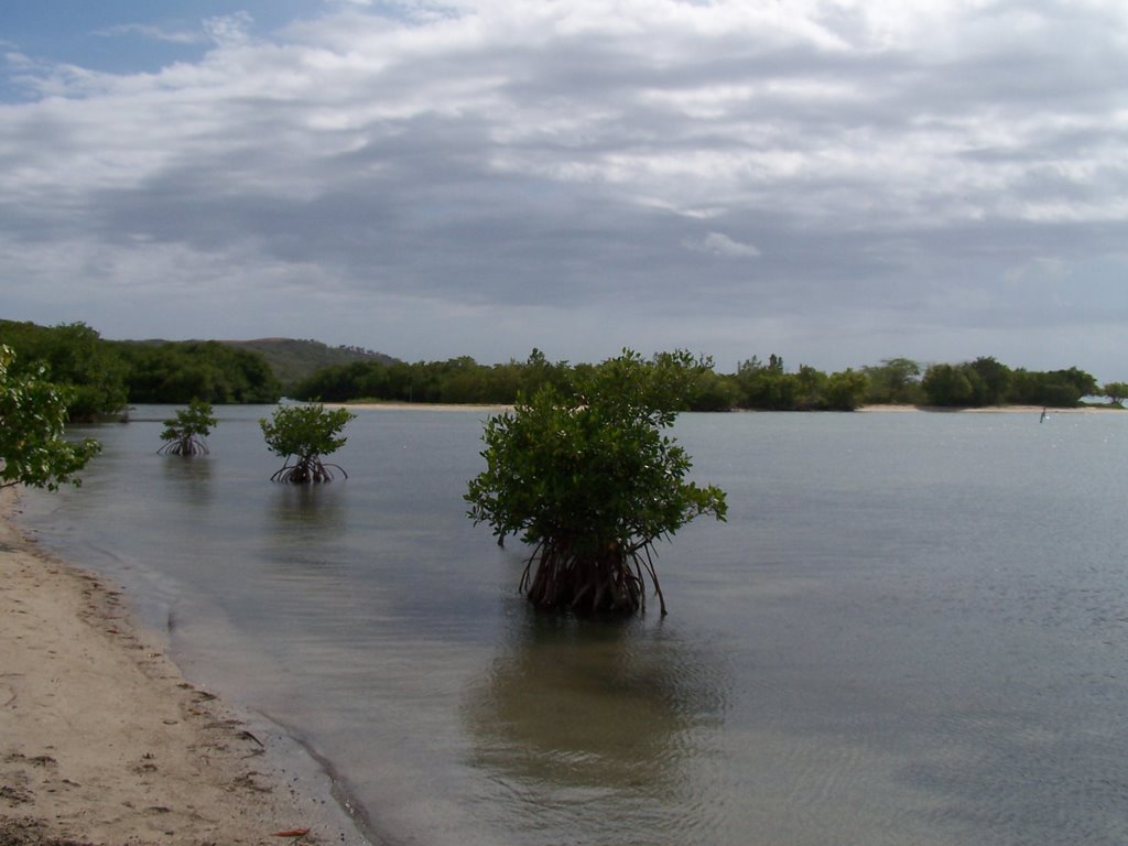 Boquerón Bay. Poblado. Cabo Rojo. P.R. by Hector Vincent Alvarez