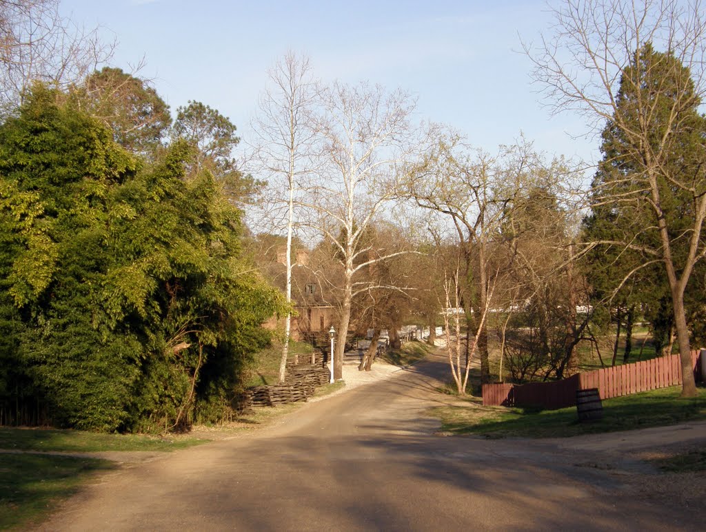 Spring Evening in East Nicholson Street by © Douglas MacGregor