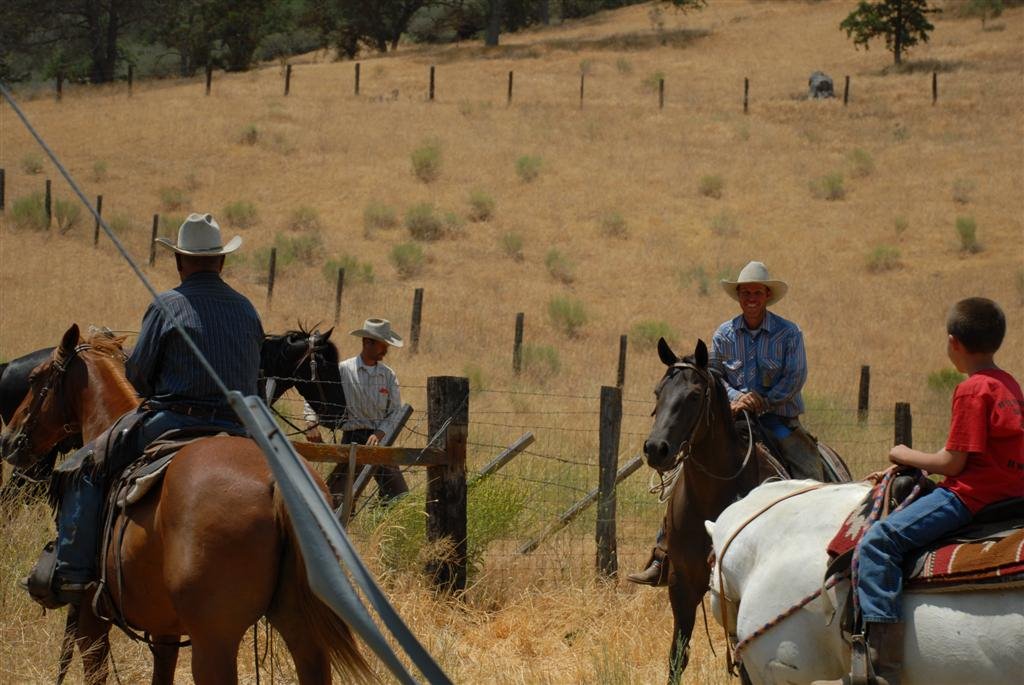 Real-life cowboys by pelesl