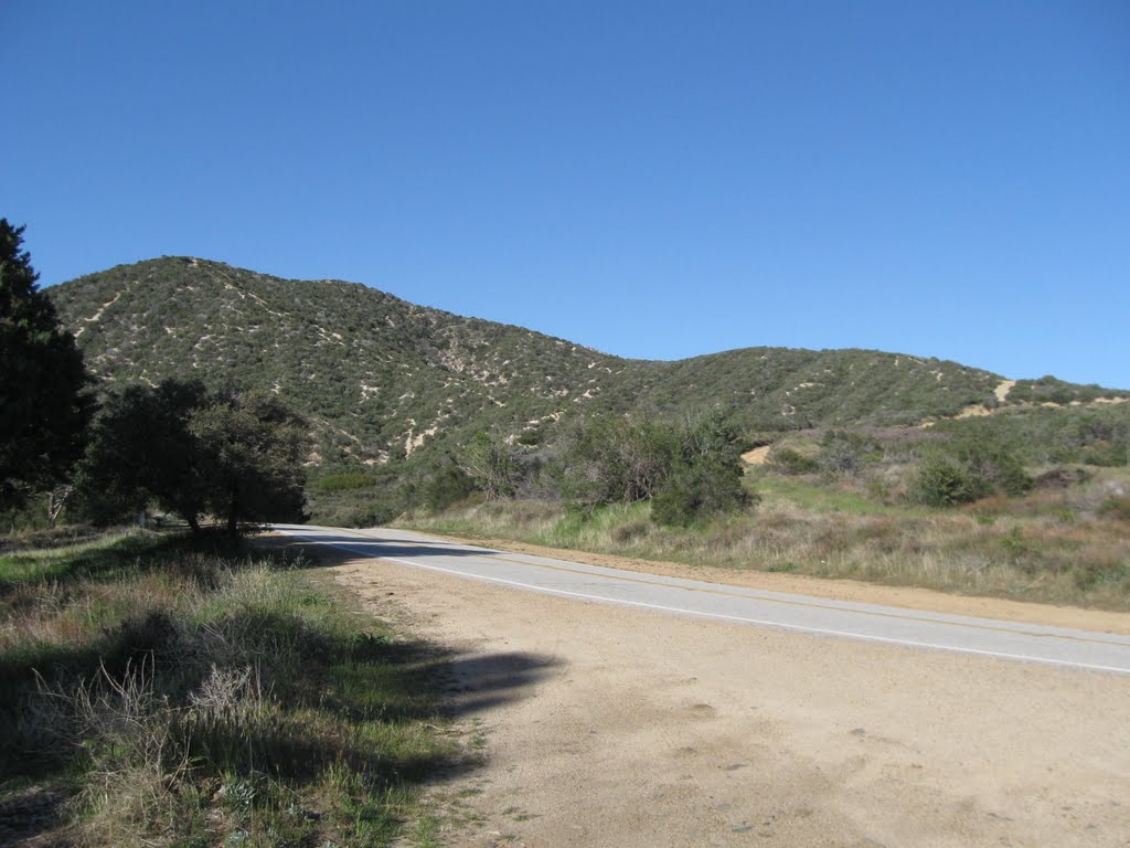 The Angeles National Forest by alvaro07dimas