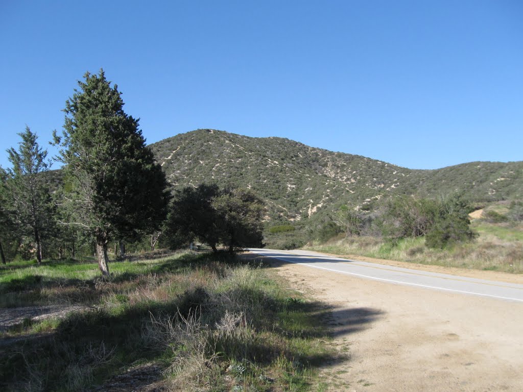 The Angeles National Forest by alvaro07dimas