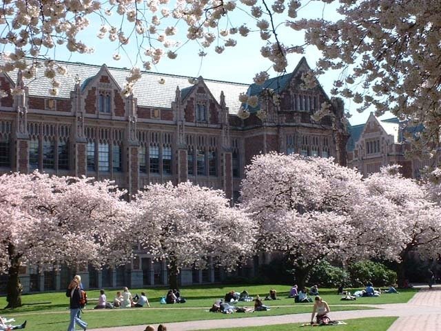 UW Quad by Spathiinc