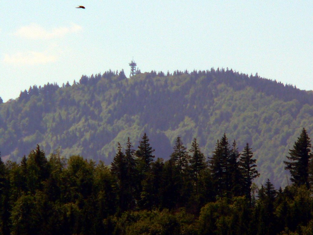 Aussichtsturm auf dem Schauinsland by Jürgen Düring