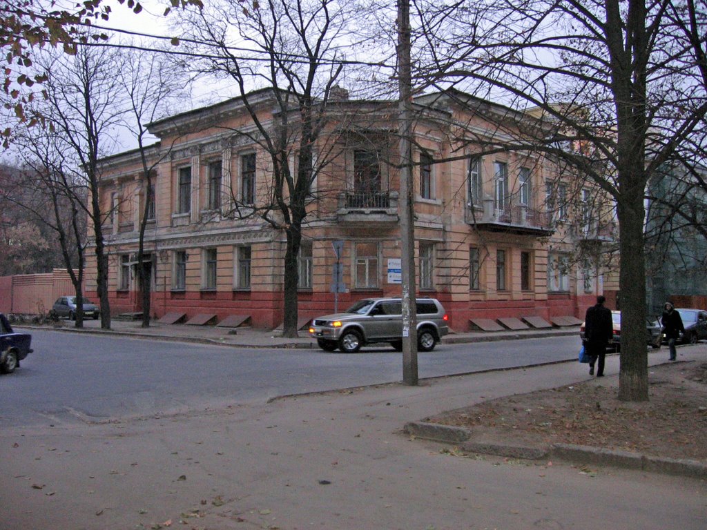 Старый город, ул. Дарвина by Сергей Борода