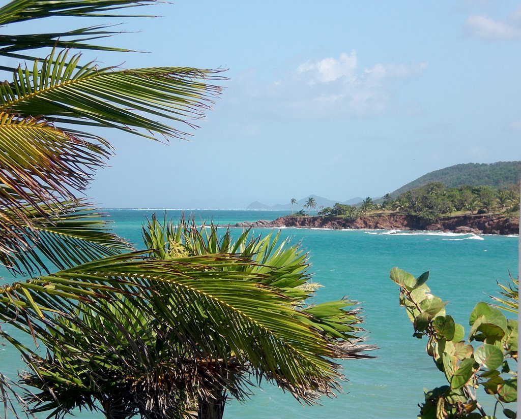 Paya Bay Roatan by Jake Boneck