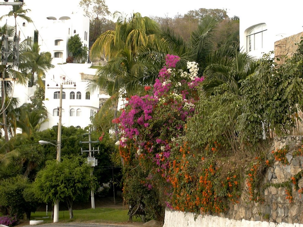 Près du Tesoro Hotel by Loulou