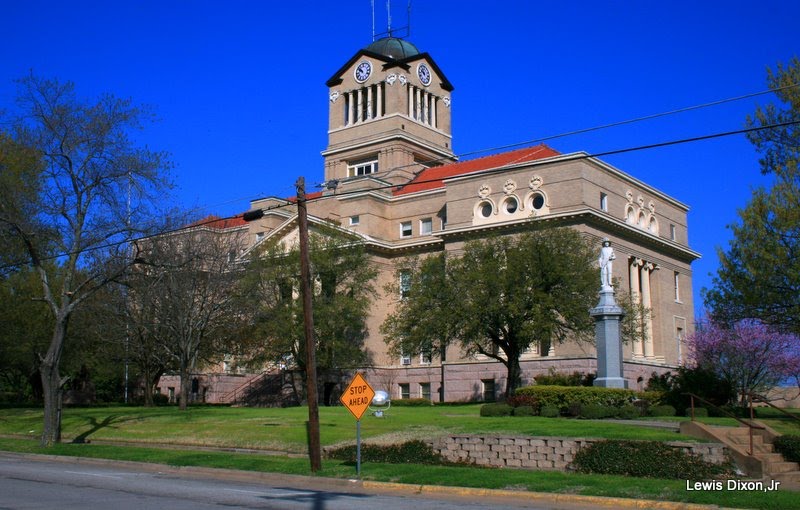 Navarro County Courthouse Corsicana,Tx 1905 by Xonid1