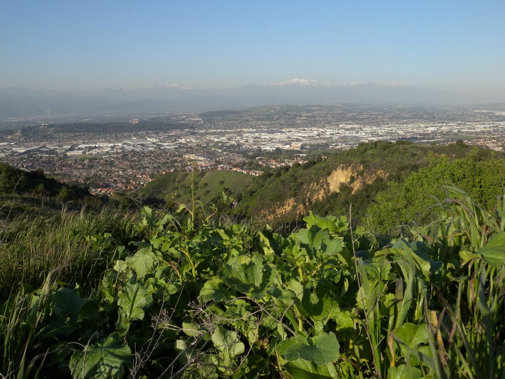 Skyline Trail to Schbarum Park by yubert