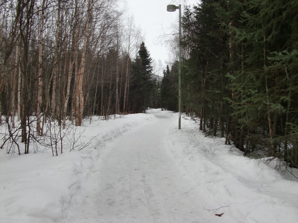 Snowy Park Trail by RussialaskaPride