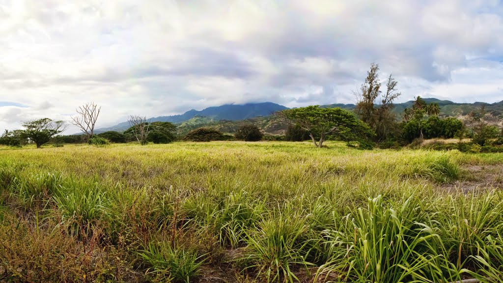 Outback Hawaii by FRESH Photography