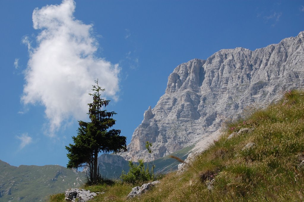 Montasio dai dintorni del rif. di Brazzà by frank lange