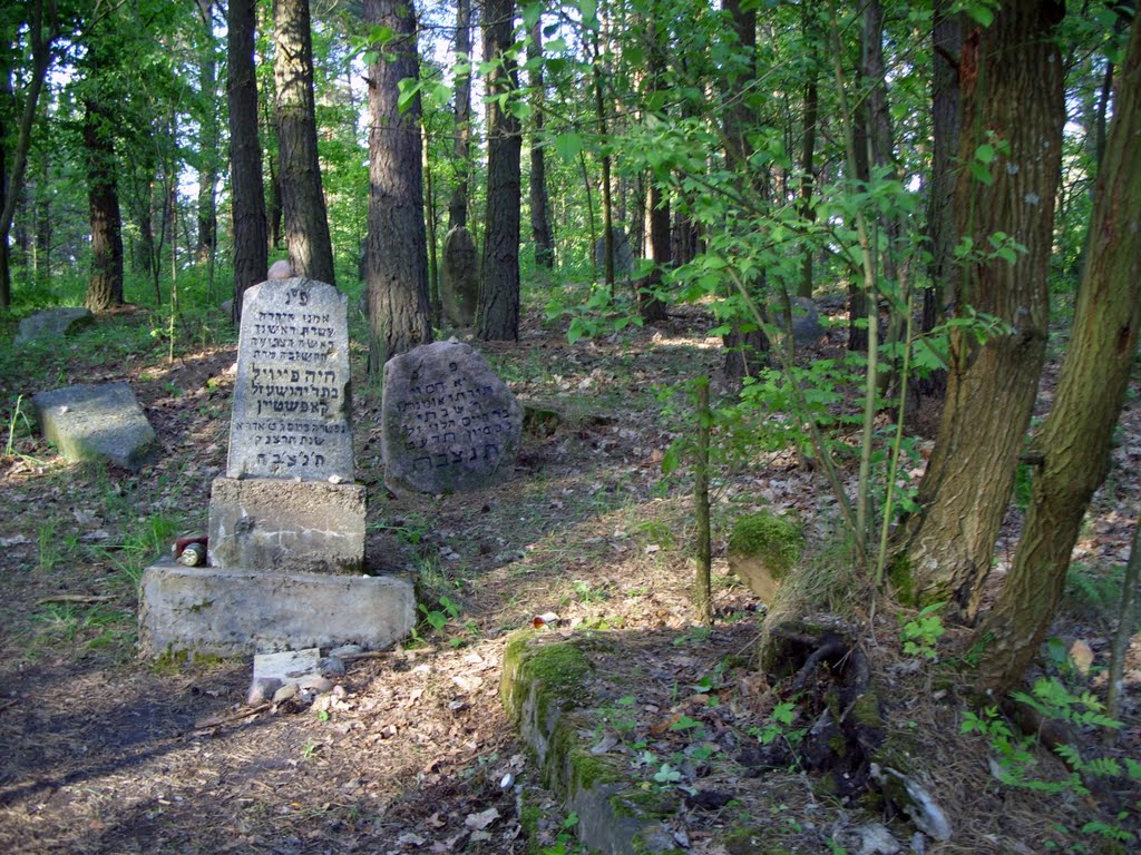 Narewka - Jewish cemetery_2 (2008) by Lech Ciszak