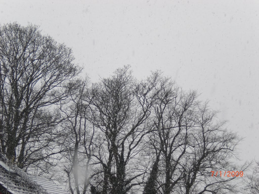 Frosty day looking from my window in foxlands drive dudley by sandeee6