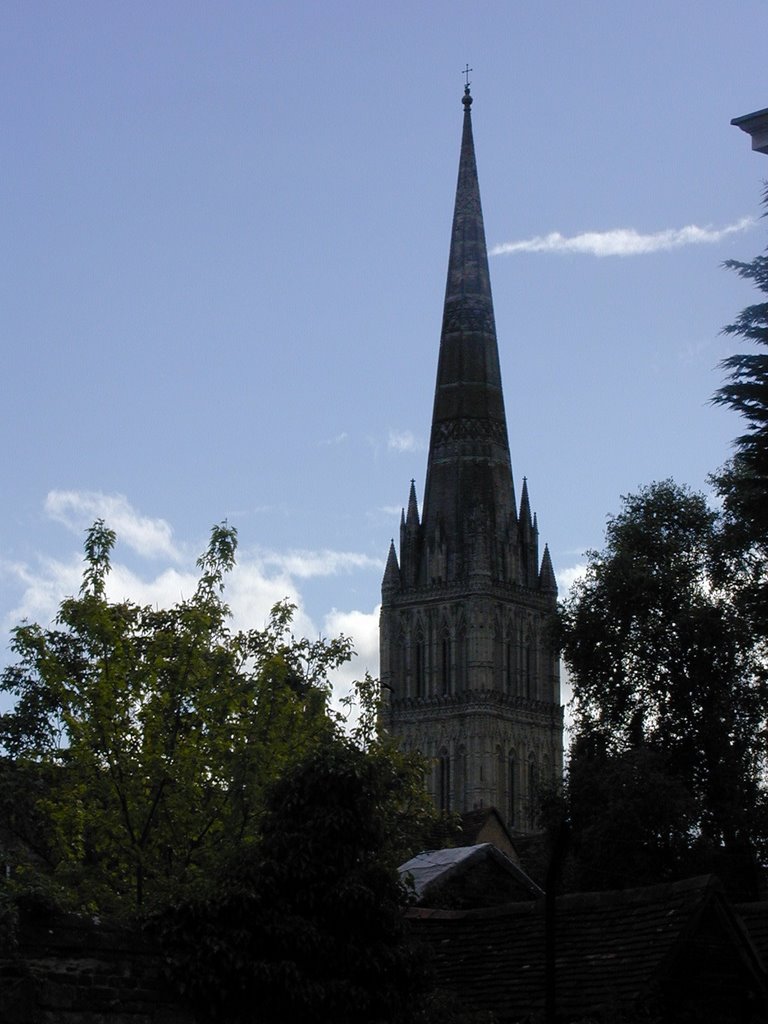 Salisbury Cathedral by J David Netterville