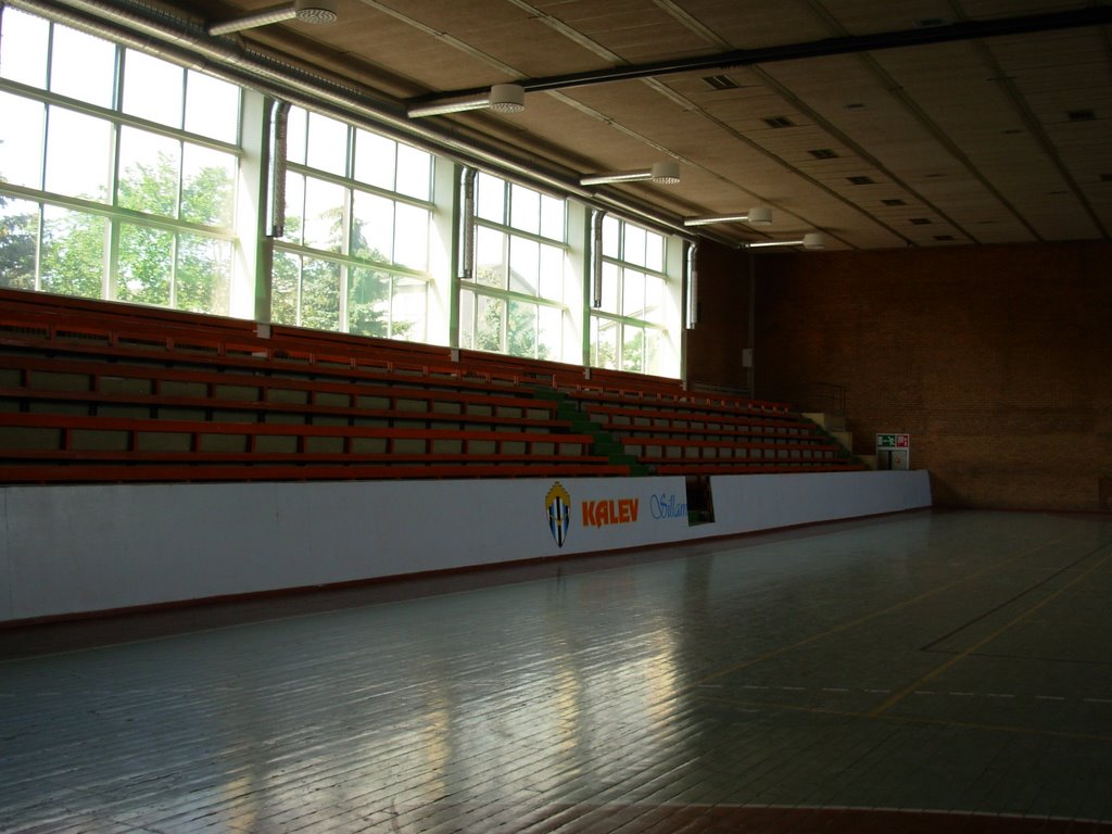 SK Kalev - inside (the big sportshall) by avesta1937