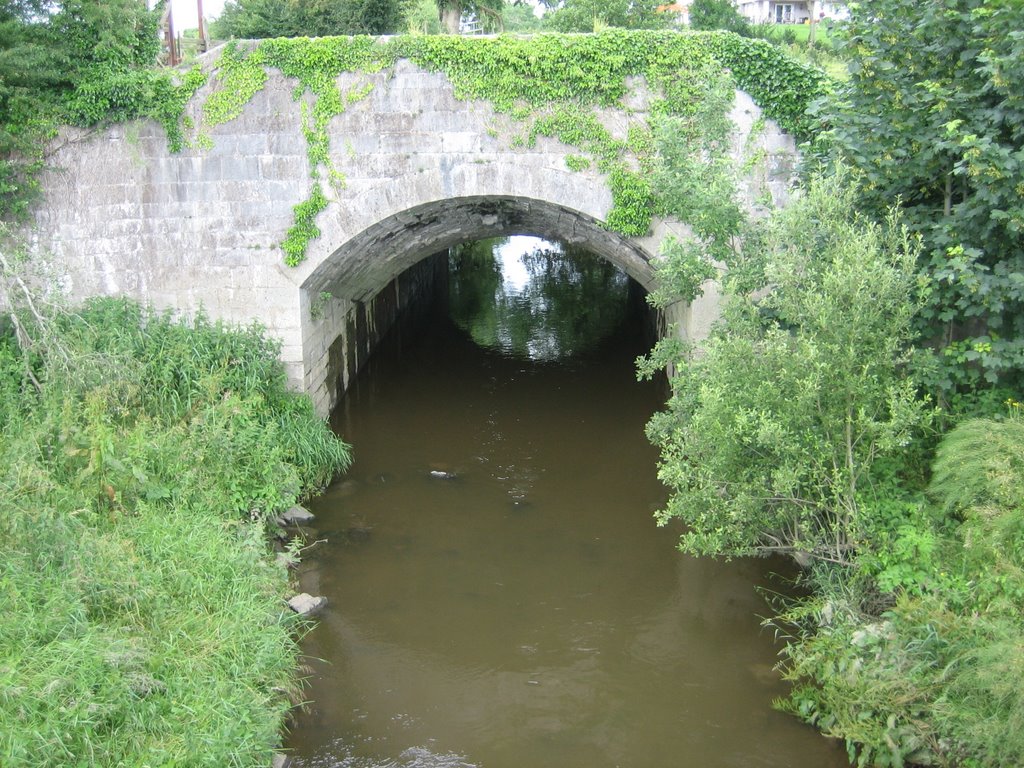 Ulster canal by kajan1