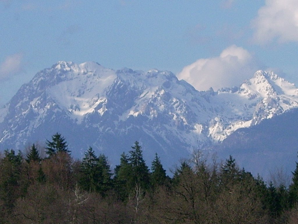 PANORAMA ALP IN ČRNUČE by retep16