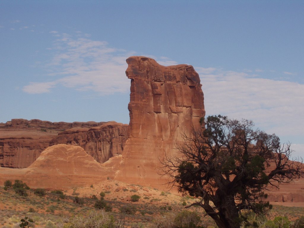 Sheep Arch by walter laatsch