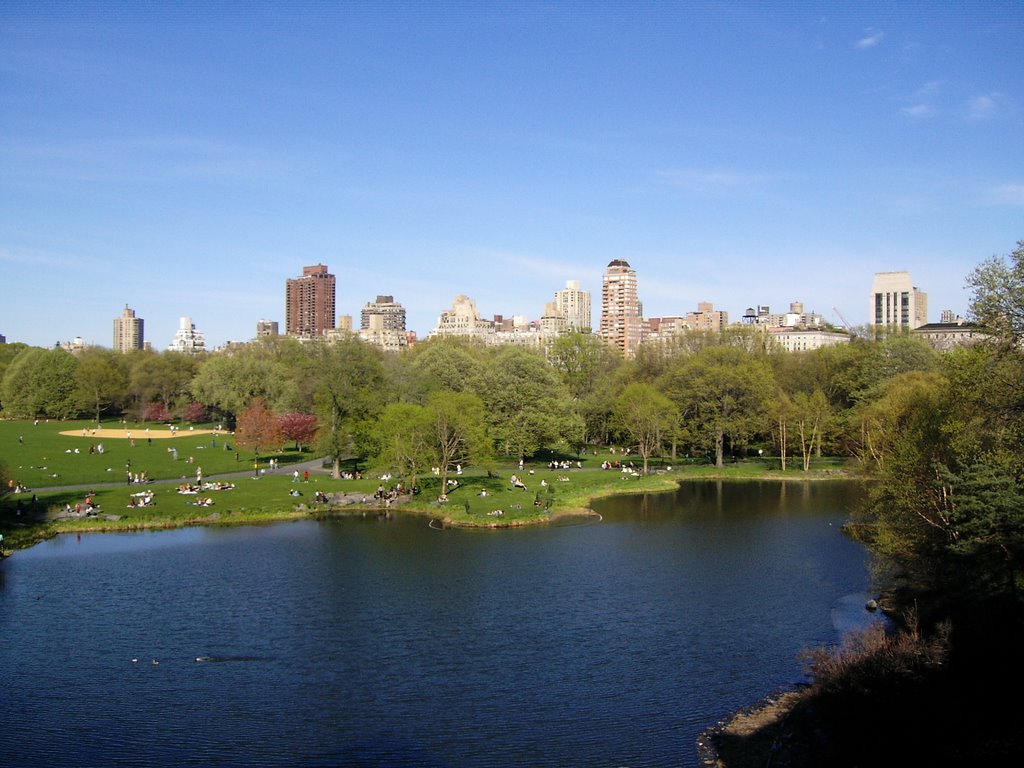 Central park, turtle pond by Gyve