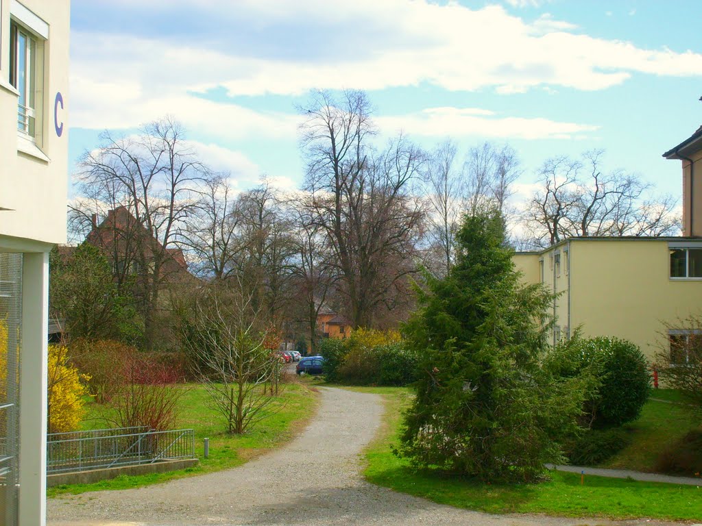 Hospital Constancia, Klinikum Konstanz by roldor2