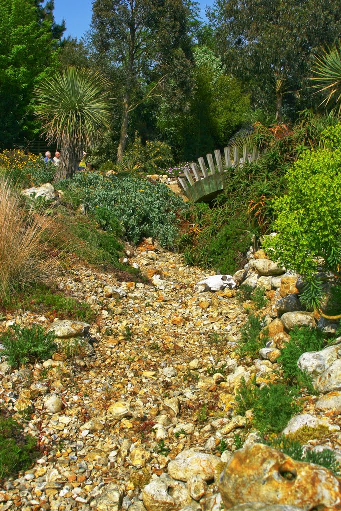 Dry water course in the desert area in East Ruston Gardens Norfolk. by Colin Cubitt