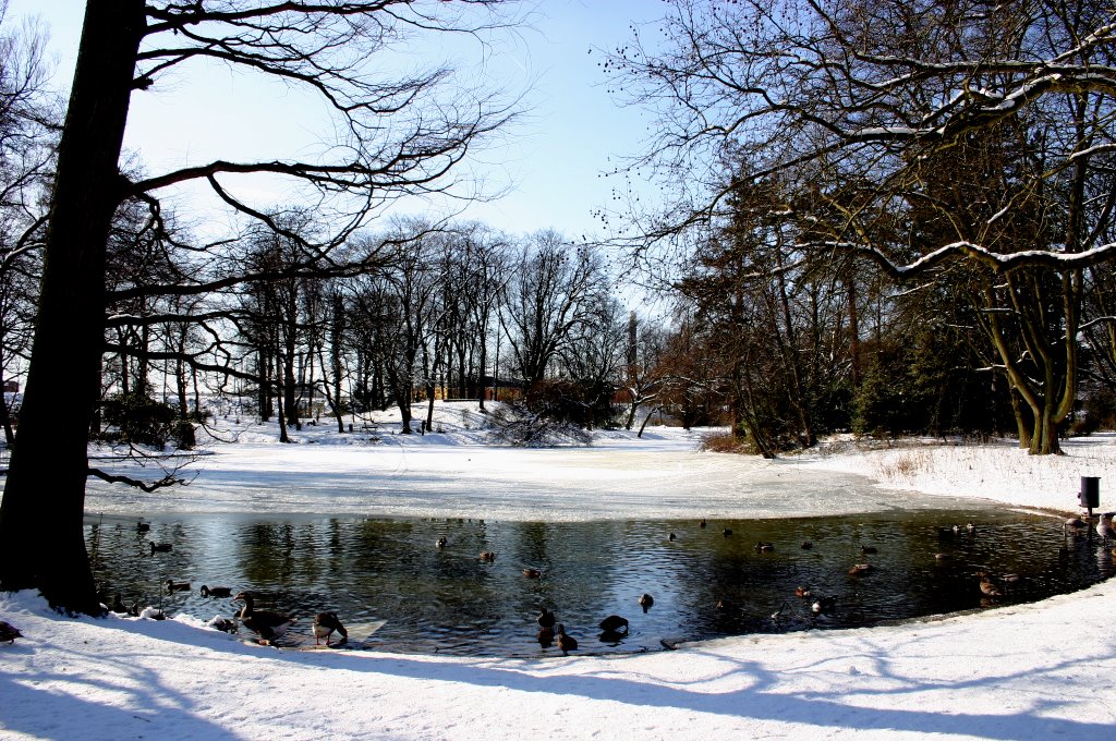 AR Utrecht-Zuilen/Julianapark by ©arnold.rog/nl