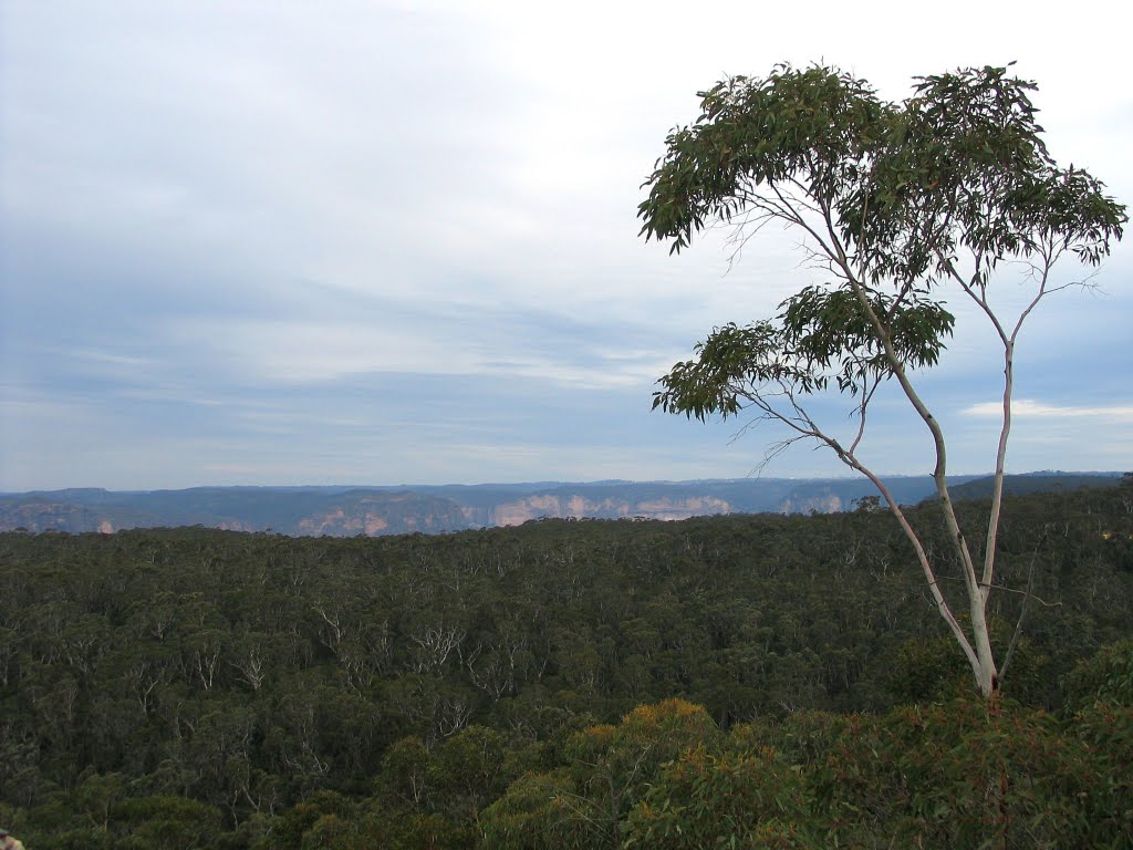 Blue Mountains National Park by VLADNES