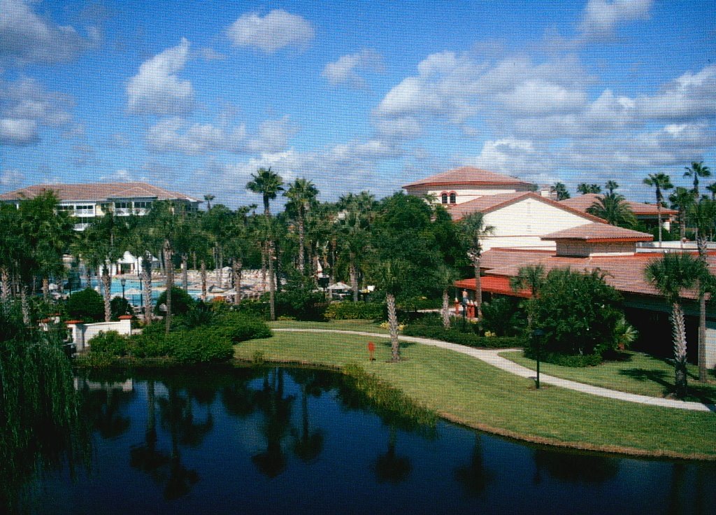 Sheraton Vistana Villages Resort, Orlando by Felix Williams