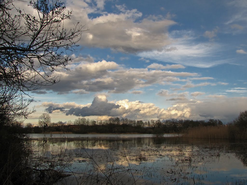 Etang de la Dombes by Fernand Serpol