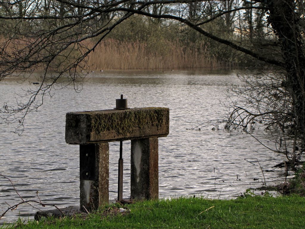 Etang en Dombes by Fernand Serpol