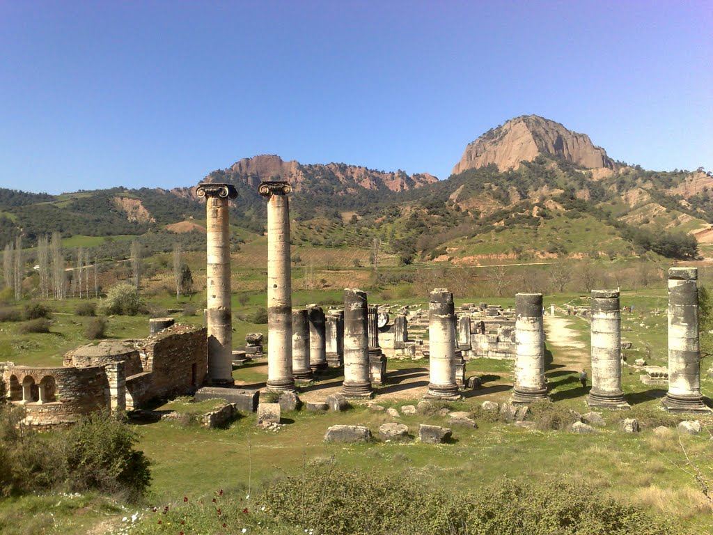 ARTEMİS TEMPLE by Hüseyin TUNÇEL