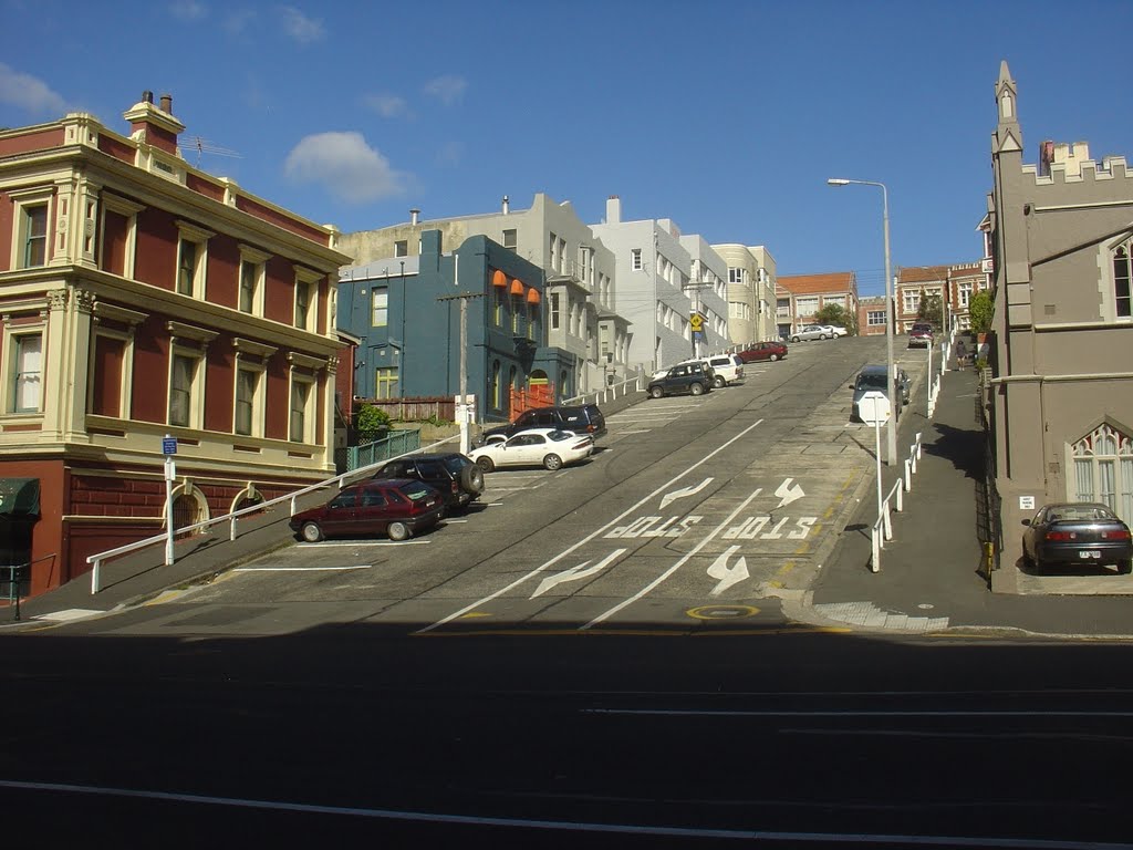 View Street, Dunedin, Otago, South Island, NZ by Paul HART